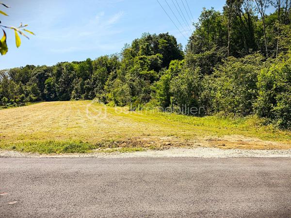 À Émancé, à proximité de Rambouillet, découvrez un terrain rare, élégant et préservé, offrant un cadre de vie particulièrement recherché pour construire une maison familiale dans un environnement calme, naturel et exceptionnel sans vis-à-vis.

Situé en retrait de la rue, ce superbe terrain à bâtir de 2 619 m² séduit immédiatement par son atmosphère paisible, son absence totale de vis-à-vis et son environnement boisé. Dès l’arrivée sur place, on ressent le potentiel du lieu : un espace ouvert, plat, lumineux, facile à aménager, où il devient simple d’imaginer une belle maison, une terrasse plein sud, un jardin paysager et une vie tournée vers la tranquillité. Le terrain bénéficie d’une très belle exposition, avec une façade arrière orienté plein sud. Cette orientation offre une luminosité naturelle remarquable tout au long de la journée, idéale pour concevoir une maison agréable, chaleureuse et parfaitement tournée vers ses extérieurs.

Classé en zone UBh du Plan Local d’Urbanisme, ce terrain profite d’un règlement d’urbanisme particulièrement favorable et souple. Le PLU permet d’envisager un très beau projet de construction, avec une maison de plain-pied aux volumes généreux, une habitation avec combles aménageables ou une construction en R+1. L’emprise au sol autorisée de 20 % sur la partie urbaine offre de belles possibilités architecturales, jusqu’à environ 256 m² de bâtiment au sol soit 512 m² de surface plancher.
Autre atout majeur : le terrain est libre de tout constructeur et n’est pas situé en secteur Bâtiments de France. Vous conservez ainsi une grande liberté dans le choix de votre constructeur, de votre style architectural et de l’aménagement de votre future propriété.

Le terrain est plat, clos sur deux belles longueurs, sans arbre à abattre ni démolition à prévoir. L’eau et le tout-à-l’égout sont déjà présents. Les raccordements à l’électricité et à la fibre haut débit seront à prévoir et resteront à la charge de l’acquéreur.

Ce terrain s’adresse aux acquéreurs recherchant bien plus qu’une simple parcelle : un véritable lieu de vie, calme, lumineux, sans vis-à-vis, dans un environnement naturel de grande qualité, tout en restant proche de Rambouillet et des commodités environnantes.

Une opportunité rare pour réaliser une belle construction familiale dans un cadre privilégié.
Pour tout renseignement complémentaire ou pour organiser une visite, contactez-moi. Ce terrain mérite d’être découvert sur place afin d’en apprécier pleinement le calme, l’exposition, l’environnement exceptionnel et le très beau potentiel de construction.
