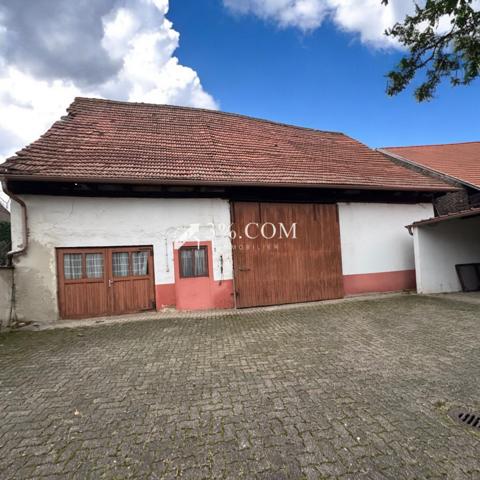 3%COM Ensemble immobilier avec maison - dépendance - cour et jardin 20 ares  Reichstett (67116)