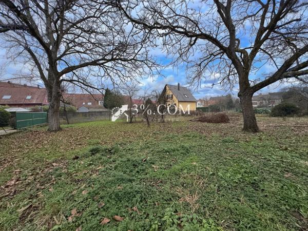 3%COM Ensemble immobilier avec maison - dépendance - cour et jardin 20 ares  Reichstett (67116)