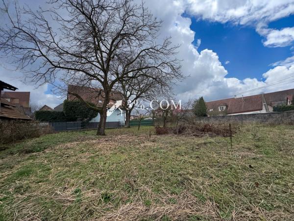 3%COM Ensemble immobilier avec maison - dépendance - cour et jardin 20 ares  Reichstett (67116)