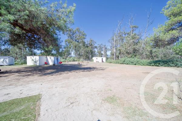 Maison à vendre  6 pièces - 270 m 2   SORBO OCAGNANO  - 202