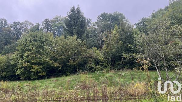 Terrain à vendre 699 m² Pont-de-Roide-Vermondans