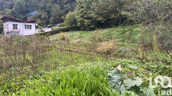 Terrain à vendre 699 m² Pont-de-Roide-Vermondans