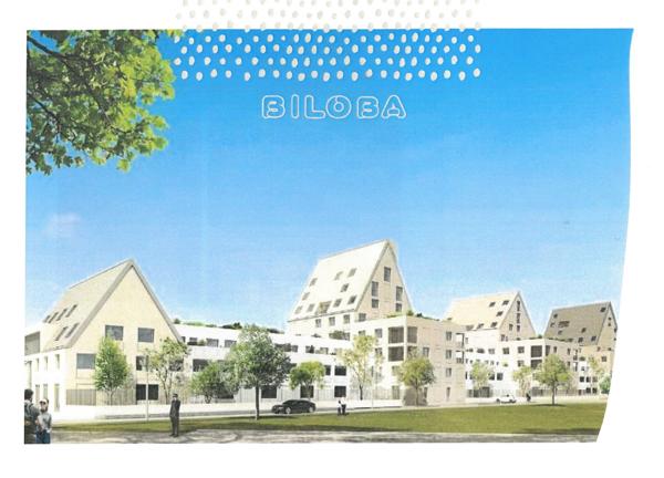 DIJON CHICAGO: APPARTEMENT DUPLEX 1 CHAMBRE - PARKING