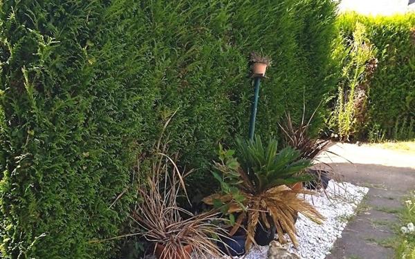 Maison à louer    4 pièces •  Vendôme