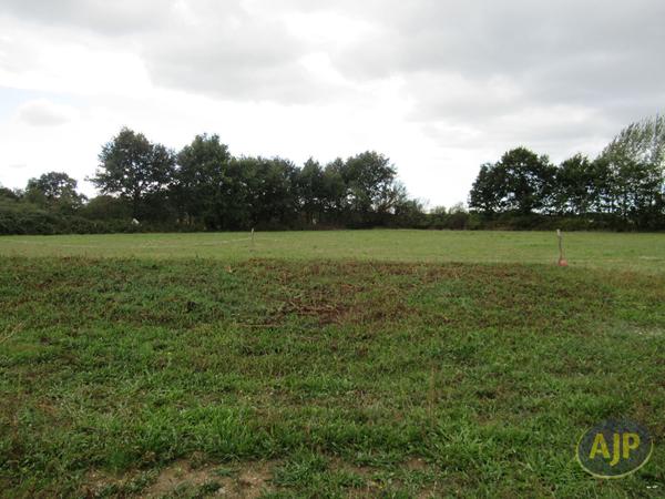 Location maison Blain : 1 115 € - AJP Immobilier Blain