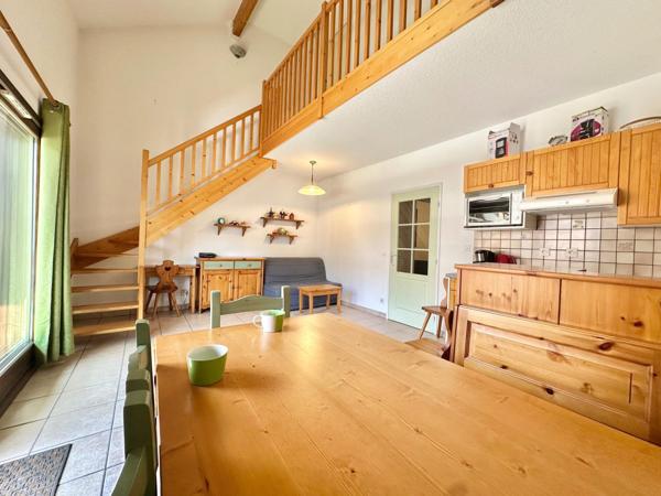 Duplex avec terrasses/cave, place de parking en sus