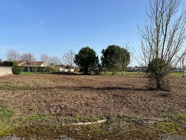 CHAURAY TERRAIN CONSTRUCTIBLE 1226 M², Chauray 79180