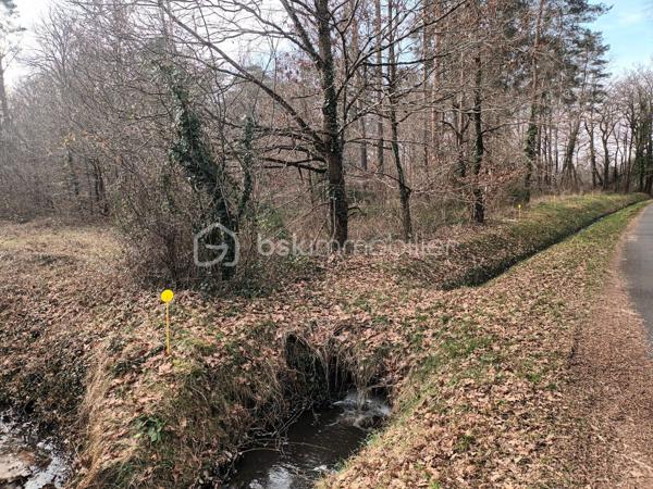 Terrain de 4700 m², constructible et boisé, non viabilisé, au coeur de la Sologne, proche du coeur de village avec commerces de proximité : boulangerie pâtisserie, boucherie charcuterie, coiffeur, plombier, garage auto et carburants, restaurants, vétérinaire, poste, banque. pharmacie à 7 km, supérette à 7 km, supermarché à 8 km. 
Si votre projet s'inscrit au calme, appelez le 06 73 33 04 75 ou envoyez moi un email à ballouin@bskimmobilier.com