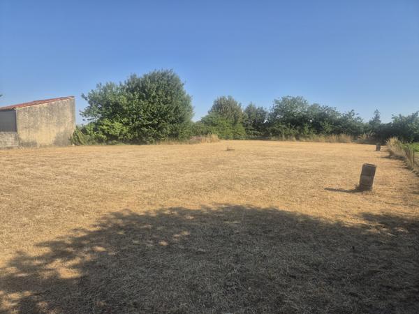 TERRAIN CONSTRUCTIBLE À SURGÈRES