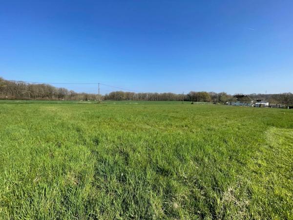 Terrain à bâtir à Crotelles 20 min Tours nord