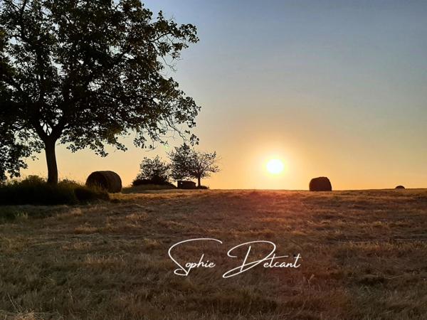 Terrain à bâtir à Crotelles 20 min Tours nord