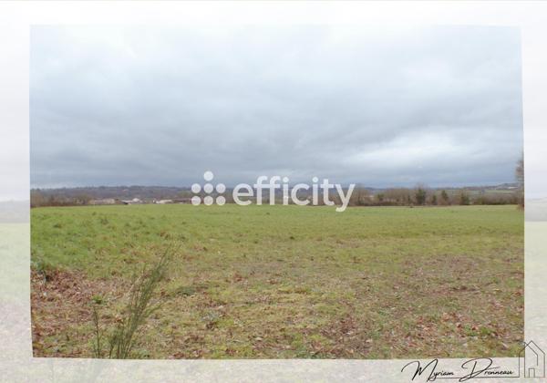 Terrain - 10000 m²