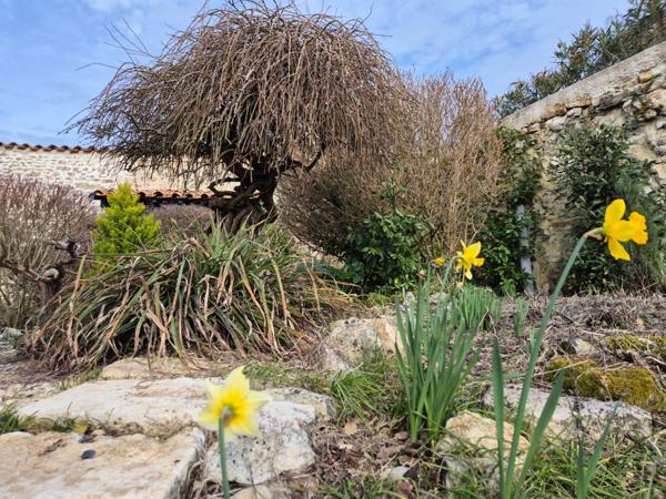 Maison coup de cœur de 150 m2 sur parcelle paysagée