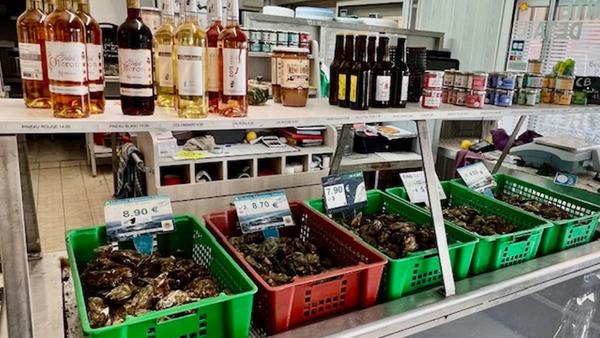 ILE D'OLÉRON emplac N°1, AV Murs 321m², marais 1,2ha et Fonds aquacole de production & dégustation de fruits de mer