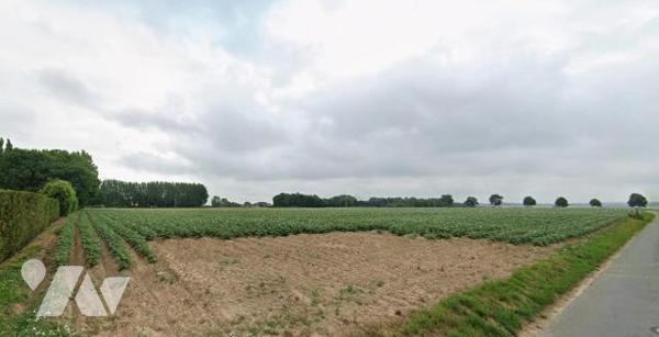 TERRAIN A BATIR, RELY ( Triangle AIRE SUR LA LYS / BETHUNE/ FRUGES)