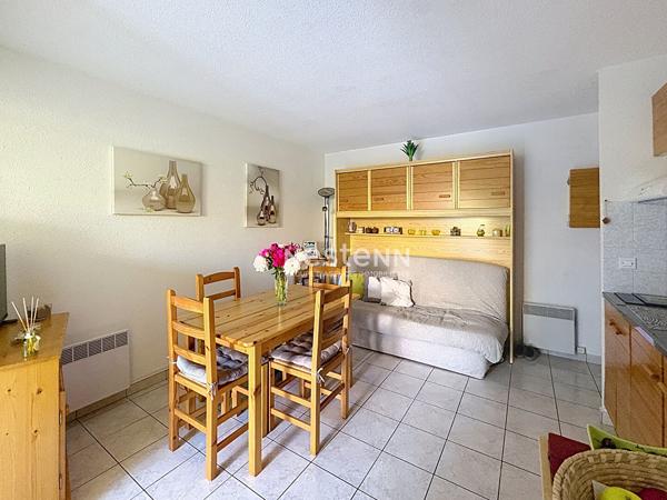Appartement Argeles Sur Mer 2 pièce(s) 25 m2