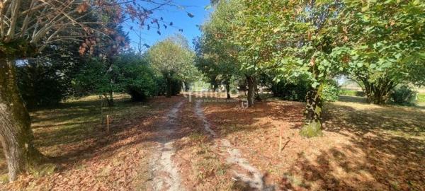 Propriété de caractère aux portes de Bordeaux 600 m2 575 000€ FAI