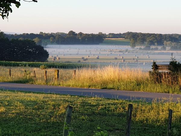 Dpt de SAONE ET LOIRE(71), à vendre MONTPONT EN BRESSE (71470) maison avec gîte et chambres d'hôtes P12 de 470 m² - Terrain de 4 374,00 m²