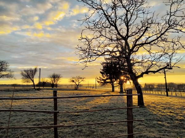 Dpt de SAONE ET LOIRE(71), à vendre MONTPONT EN BRESSE (71470) maison avec gîte et chambres d'hôtes P12 de 470 m² - Terrain de 4 374,00 m²