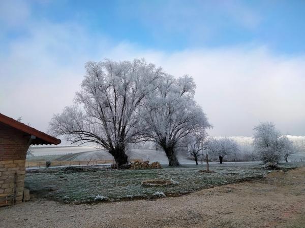Dpt de SAONE ET LOIRE(71), à vendre MONTPONT EN BRESSE (71470) maison avec gîte et chambres d'hôtes P12 de 470 m² - Terrain de 4 374,00 m²