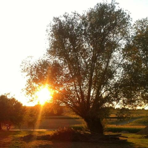 Dpt de SAONE ET LOIRE(71), à vendre MONTPONT EN BRESSE (71470) maison avec gîte et chambres d'hôtes P12 de 470 m² - Terrain de 4 374,00 m²