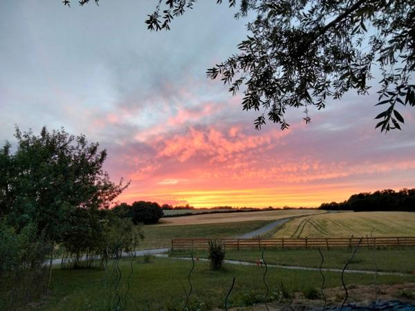 Dpt de SAONE ET LOIRE(71), à vendre MONTPONT EN BRESSE (71470) maison avec gîte et chambres d'hôtes P12 de 470 m² - Terrain de 4 374,00 m²