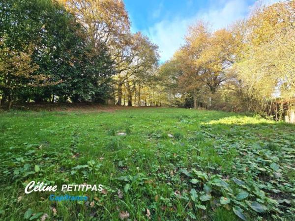 Spacieuse maison à louer 172 m² - un terrain arboré de 3360 m² – Gévezé (35)