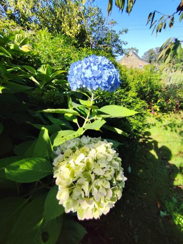 Maison à vendre 5 pièces SAINT VINCENT SUR OUST (56)