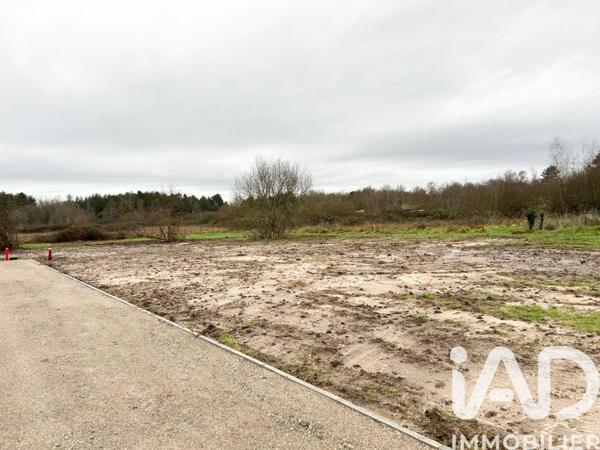 Terrain à vendre 503 m² Pruniers-en-Sologne