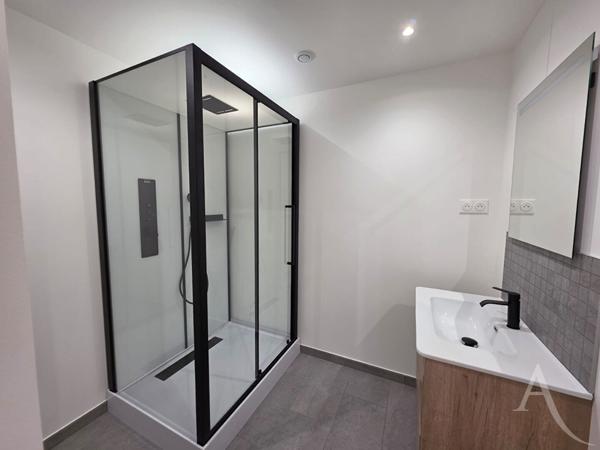 Charmant 2 pièces sur niveau entièrement rénové - Collégiale MANTES-LA-JOLIE