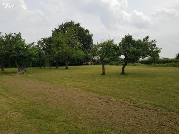 A VENDRE - POULAINES (36) - située dans un hameau,  cette  charmante maison de plain-pied vous ...