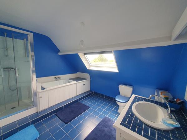 PROPRIETE DE FAMILLE 6 CHAMBRES 390 000 €