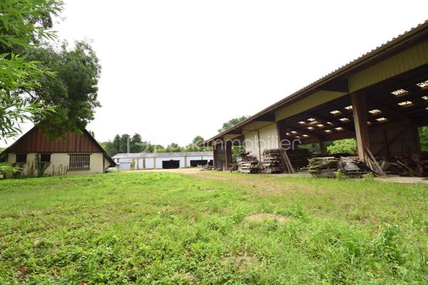 Local d'activités de 2 600 m²