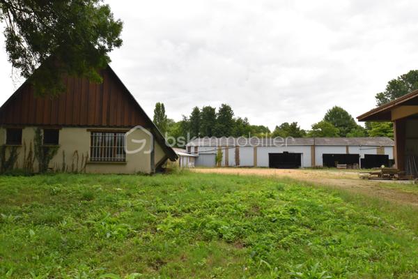 Local d'activités de 2 600 m²