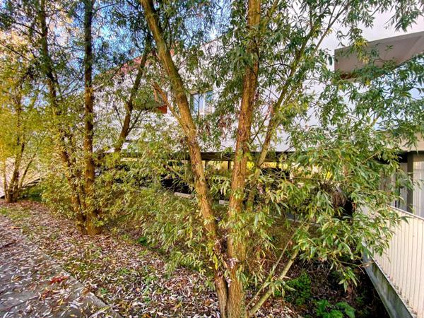 Magnifique Duplex T3 bis - Grande terrasse - Parking