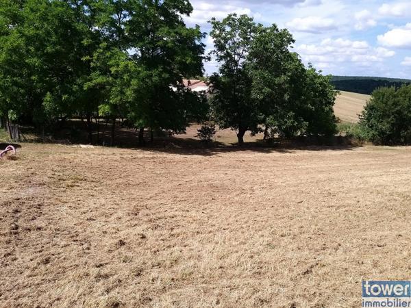 Terrain