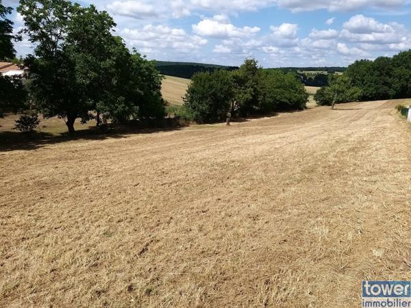 Terrain