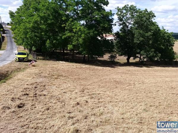 Terrain