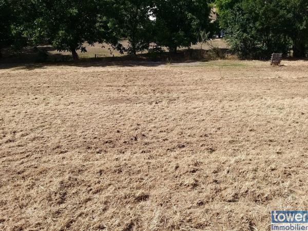 Terrain