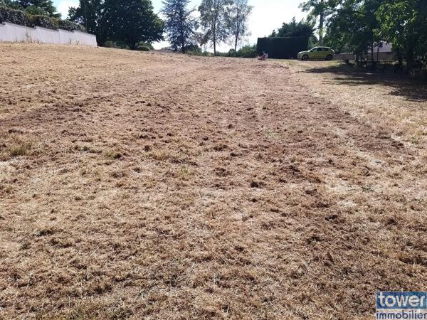 Terrain