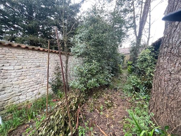 Maison 141m2SAINT-MARTIN-DE-RE