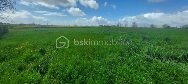 Terrain à bâtir de 4 100 m², idéalement situé en sortie de bourg en direction de Niort, à seulement 20 minutes de Niort.

La parcelle est inscrite dans une Orientation d'Aménagement et de Programmation (OAP) prévoyant le développement d'une opération de 4 logements minimum.

Caractéristiques
Surface cadastrale : 4 100 m²
Situation : centre-bourg
Environnement résidentiel calme
Réseaux à proximité 

Urbanisme
Terrain situé en zone constructible.
Parcelle concernée par une OAP, imposant une réflexion d'ensemble sur l'aménagement.
Capacité prévisionnelle : 4 logements minimum.
Secteur inclus dans le périmètre Natura 2000 ; tout projet devra intégrer les prescriptions environnementales en vigueur.

Cette parcelle conviendra notamment à un lotisseur, un aménageur foncier, un promoteur, un investisseur.
Son implantation en centre-bourg répond aux attentes actuelles des collectivités en matière de densification maîtrisée et de valorisation du tissu urbain existant. 

Dossier disponible sur demande
Les documents suivants pourront être communiqués aux acquéreurs intéressés :
Extrait cadastral 
Plan de situation
Plan de zonage
Extrait de l'Orientation d'Aménagement et de Programmation (OAP)
Règlement applicable à la zone

Pour toute demande d'information ou pour organiser une visite du site, contactez-moi.