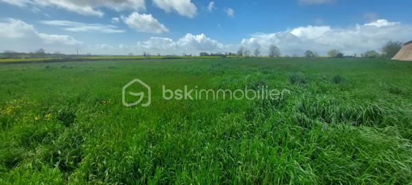 Terrain à bâtir de 4 100 m², idéalement situé en sortie de bourg en direction de Niort, à seulement 20 minutes de Niort.

La parcelle est inscrite dans une Orientation d'Aménagement et de Programmation (OAP) prévoyant le développement d'une opération de 4 logements minimum.

Caractéristiques
Surface cadastrale : 4 100 m²
Situation : centre-bourg
Environnement résidentiel calme
Réseaux à proximité 

Urbanisme
Terrain situé en zone constructible.
Parcelle concernée par une OAP, imposant une réflexion d'ensemble sur l'aménagement.
Capacité prévisionnelle : 4 logements minimum.
Secteur inclus dans le périmètre Natura 2000 ; tout projet devra intégrer les prescriptions environnementales en vigueur.

Cette parcelle conviendra notamment à un lotisseur, un aménageur foncier, un promoteur, un investisseur.
Son implantation en centre-bourg répond aux attentes actuelles des collectivités en matière de densification maîtrisée et de valorisation du tissu urbain existant. 

Dossier disponible sur demande
Les documents suivants pourront être communiqués aux acquéreurs intéressés :
Extrait cadastral 
Plan de situation
Plan de zonage
Extrait de l'Orientation d'Aménagement et de Programmation (OAP)
Règlement applicable à la zone

Pour toute demande d'information ou pour organiser une visite du site, contactez-moi.