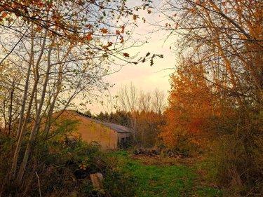 Bien agricole à vendre à Égliseneuve-des-Liards dans le Puy-de-Dôme (63490), ref : 2025-61-2025211