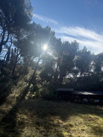 Terrain 10500m2 avec maison à rénover VENTABREN (13)