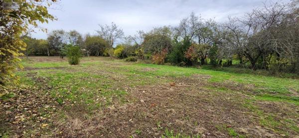 Maison à vendre à Louhans en Saône-et-Loire (71500), ref : YM 2873