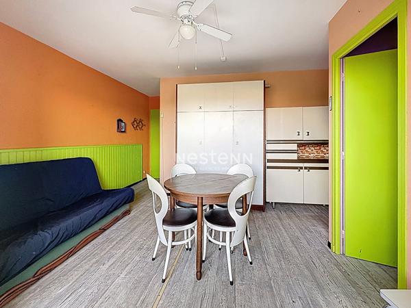 Appartement Argeles Sur Mer 2 pièce(s) avec parking et cave