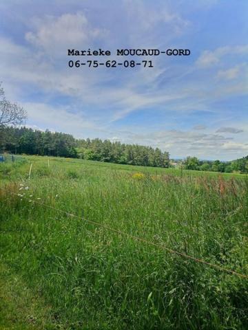 **EXCLUSIVITE**LES VILLETTES 43600 Maison 154 m² 4 chambres sur 9 000 m² terrain attenant