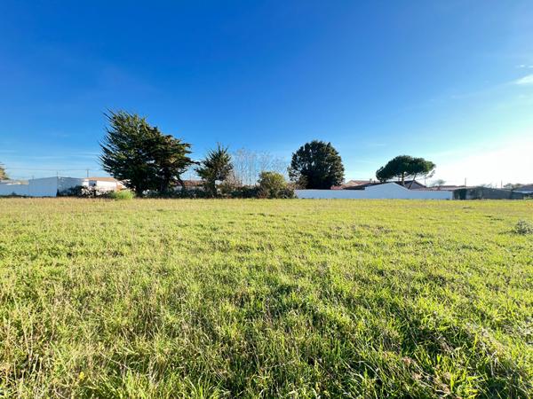 Terrain Arvert 1542 m2 | LA TREMBLADE IMMO